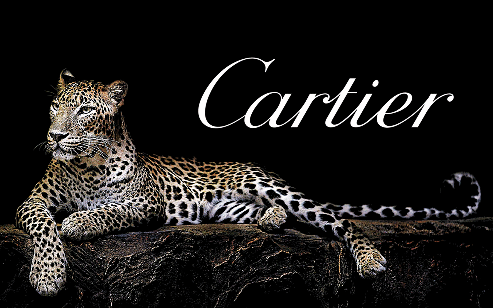 Пантера Cartier